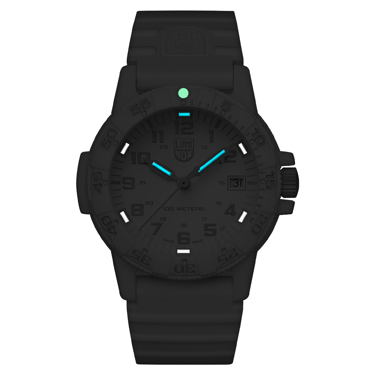 LEATHERBACK SEA TURTLE 0300 SERIES