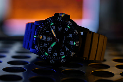 LEATHERBACK SEA TURTLE GIANT 0320 SERIES