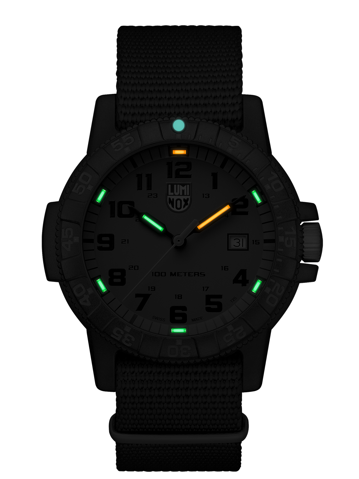 LEATHERBACK SEA TURTLE GIANT 0320 SERIES