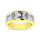 10K Two Tone 1/10 Ct.Tw. Diamond 7 stone Men?s Band