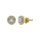 Diamond 1/3 Ct.tw Round Cut Fashion Earrings in 10K Yellow Gold