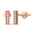 Diamond 1/20 Ct.tw Fashion Earrings in 10K Rose Gold