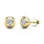 Diamond 1/10 Ct.tw Bezel Set Earrings in 10K Yellow Gold