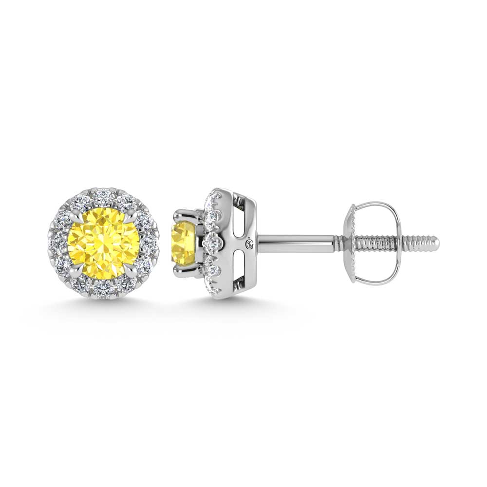 14K White Gold 1 1/3 Ct.Tw. White and Yellow Lab Grown Diamond Stud Earrings