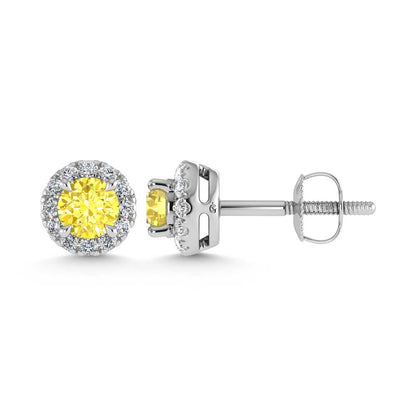 14K White Gold 1 1/3 Ct.Tw. White and Yellow Lab Grown Diamond Stud Earrings