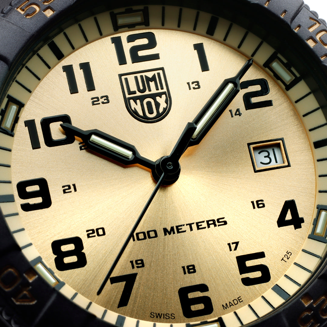 LEATHERBACK SEA TURTLE GIANT 0320 SERIES