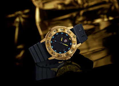 NAVY SEAL FOUNDATION